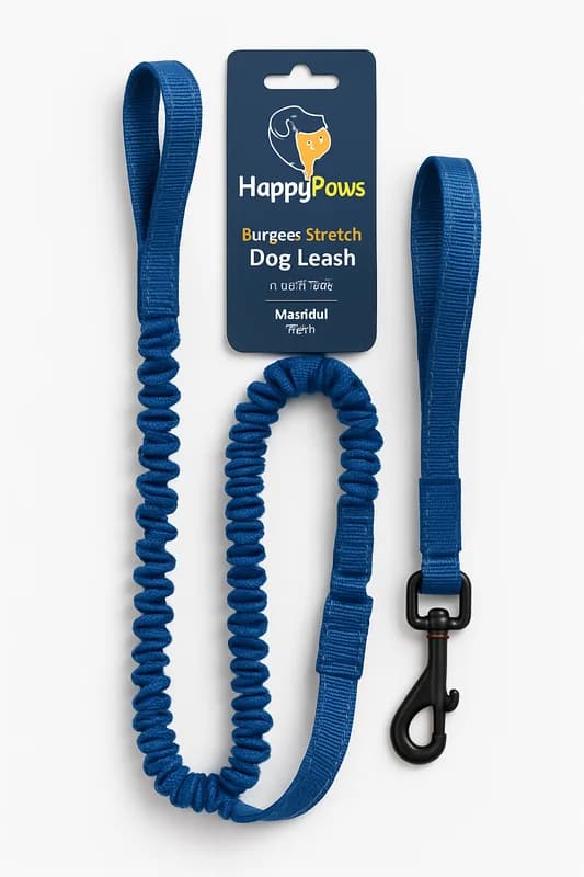 HappyPaws Bungee Stretch Dog Leash 5 ft (Medium, Blue)