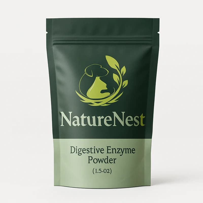 NatureNest Digestive Enzyme Powder (1.5 oz)