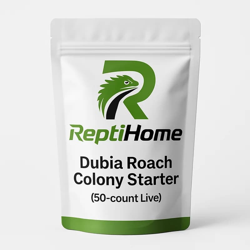 ReptiHome Dubia Roach Colony Starter (50-count Live)